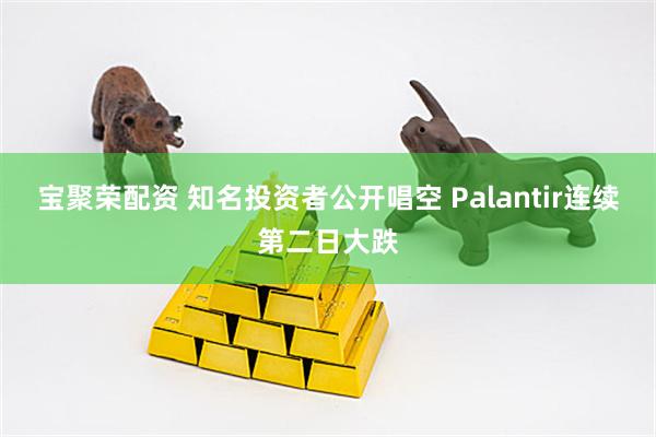 宝聚荣配资 知名投资者公开唱空 Palantir连续第二日大跌